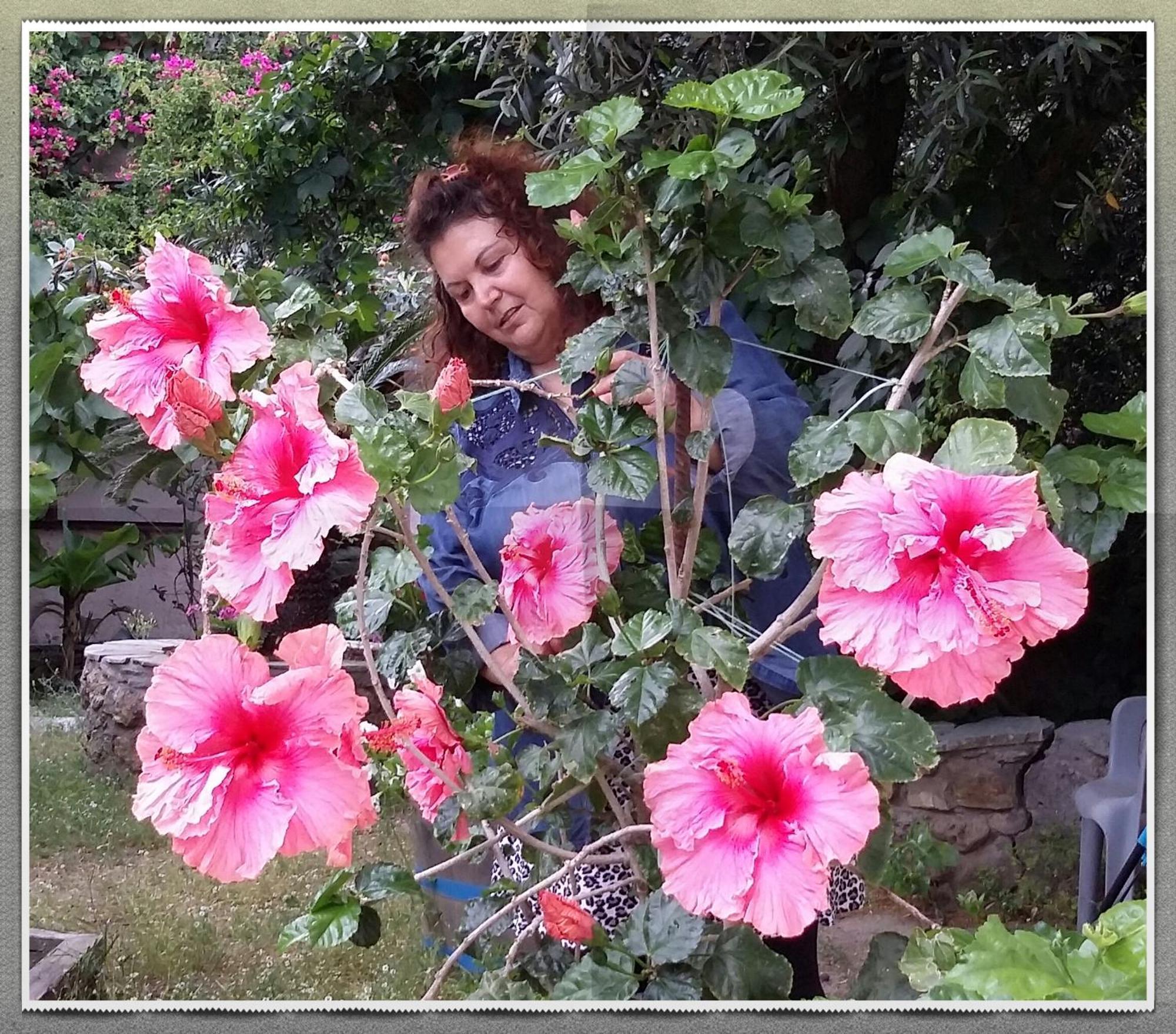 Olive Tree Cottages Palaiochora Esterno foto